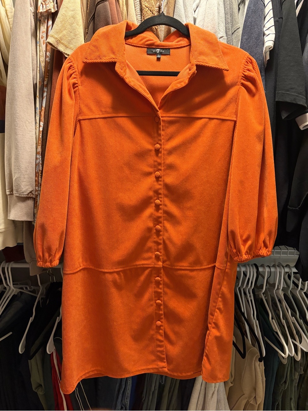 Seven for all Mankind dress